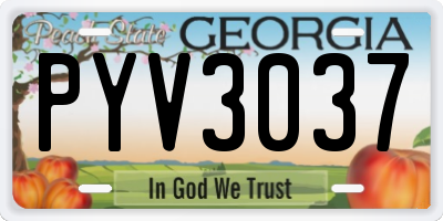 GA license plate PYV3037