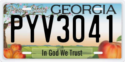 GA license plate PYV3041