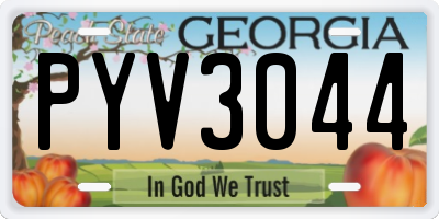 GA license plate PYV3044