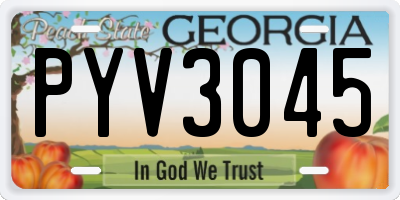 GA license plate PYV3045