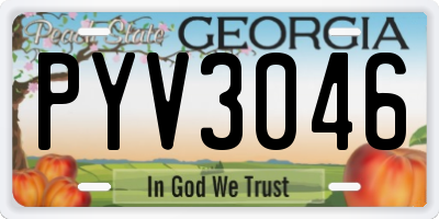 GA license plate PYV3046