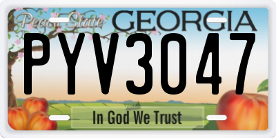 GA license plate PYV3047