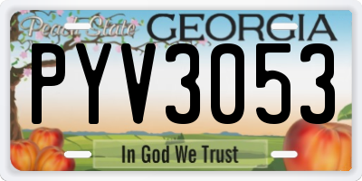 GA license plate PYV3053