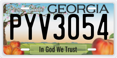 GA license plate PYV3054