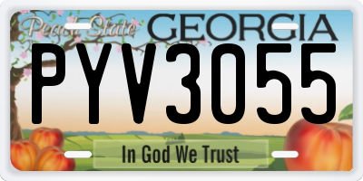 GA license plate PYV3055