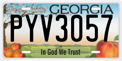 GA license plate PYV3057
