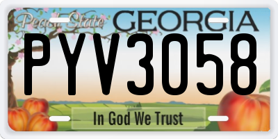 GA license plate PYV3058