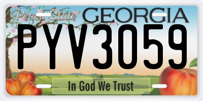 GA license plate PYV3059