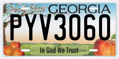 GA license plate PYV3060