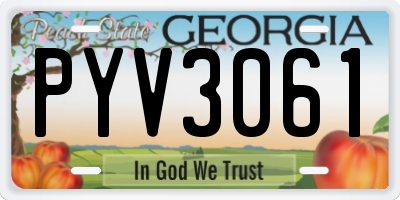 GA license plate PYV3061