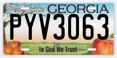 GA license plate PYV3063