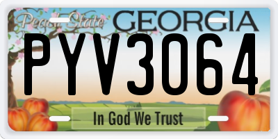 GA license plate PYV3064