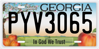 GA license plate PYV3065