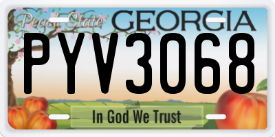 GA license plate PYV3068