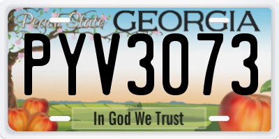 GA license plate PYV3073