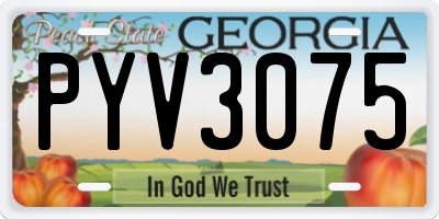 GA license plate PYV3075