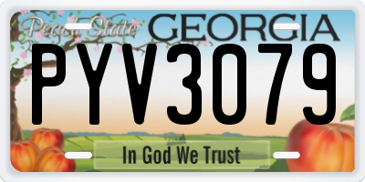 GA license plate PYV3079