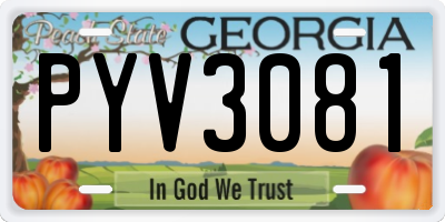 GA license plate PYV3081