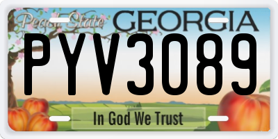 GA license plate PYV3089