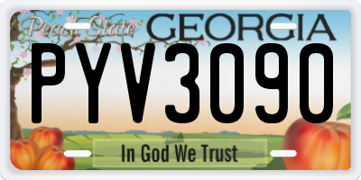 GA license plate PYV3090