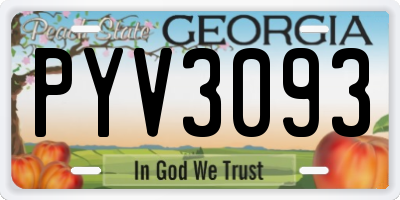 GA license plate PYV3093