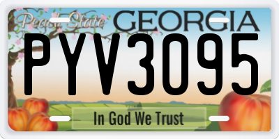 GA license plate PYV3095