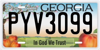 GA license plate PYV3099