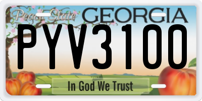 GA license plate PYV3100