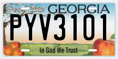 GA license plate PYV3101
