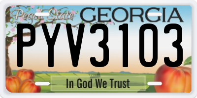 GA license plate PYV3103
