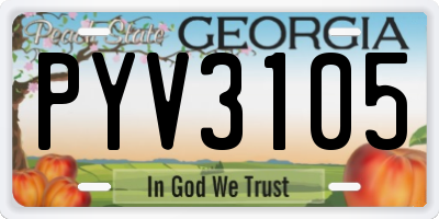 GA license plate PYV3105