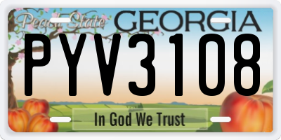 GA license plate PYV3108