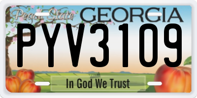 GA license plate PYV3109