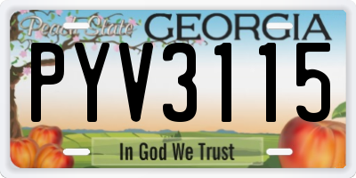 GA license plate PYV3115