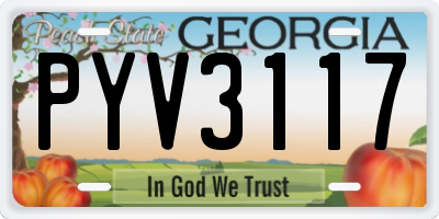 GA license plate PYV3117