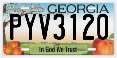 GA license plate PYV3120
