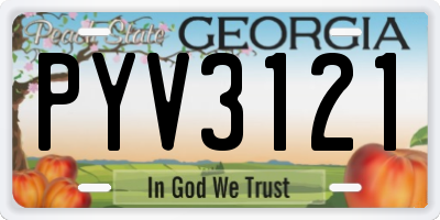 GA license plate PYV3121