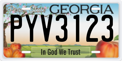 GA license plate PYV3123
