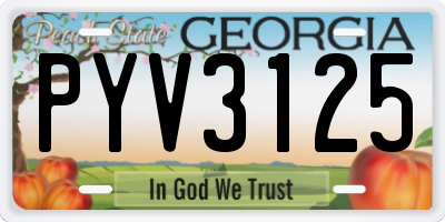 GA license plate PYV3125