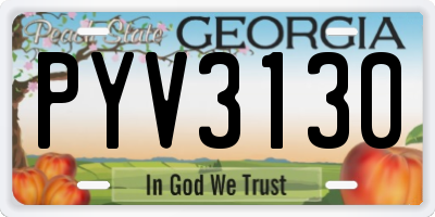 GA license plate PYV3130