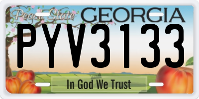 GA license plate PYV3133