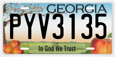 GA license plate PYV3135