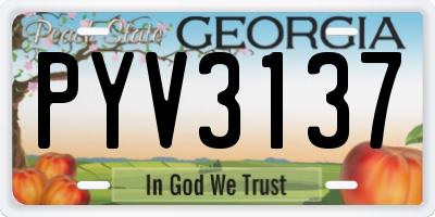 GA license plate PYV3137