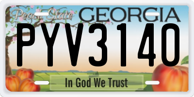 GA license plate PYV3140