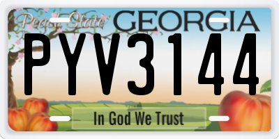GA license plate PYV3144