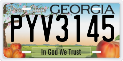 GA license plate PYV3145