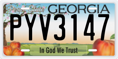 GA license plate PYV3147