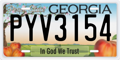 GA license plate PYV3154