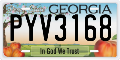 GA license plate PYV3168