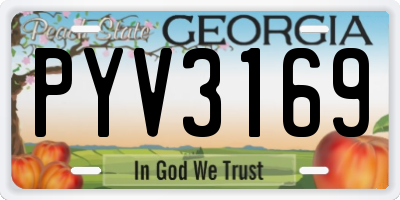 GA license plate PYV3169